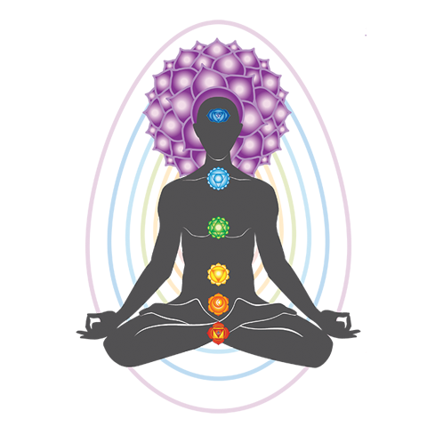 what is the difference between chakra, aura and meridians